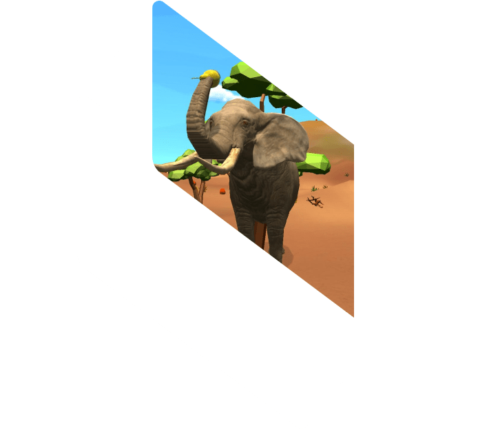Project Description – Animal Discovery